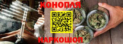 стаф Краснодар