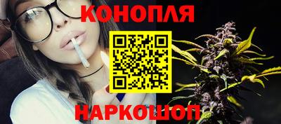 стаф Краснодар