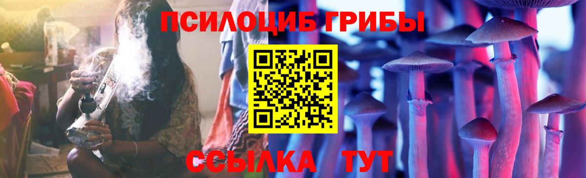 где можно купить   Вход с VPN  Коломна  Галлюциногенные грибы GOLDEN TEACHER  Псилоцибиновые грибы GOLDEN TEACHER 